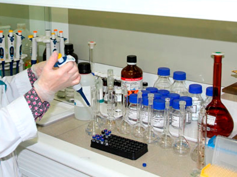 Кто и где мог произвести "Новичок" для Навального