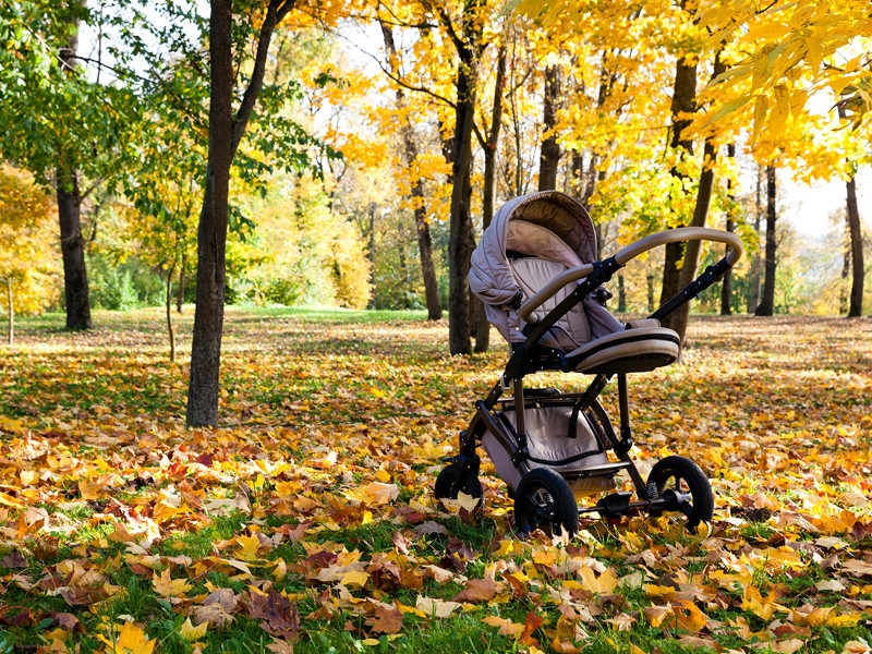 СК в Петербурге начал проверку из‑за смерти шестимесячного мальчика, которого мать отказывалась лечить антибиотиками
