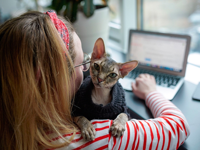 Сотням тысяч московских предприятий грозят проблемы из-за собянинского "лайт-варианта" карантина