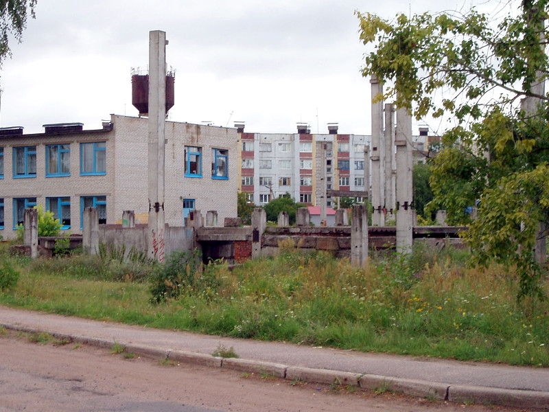 В Ленинградской области двое  детей провели в квартире с мертвыми родителями три дня
