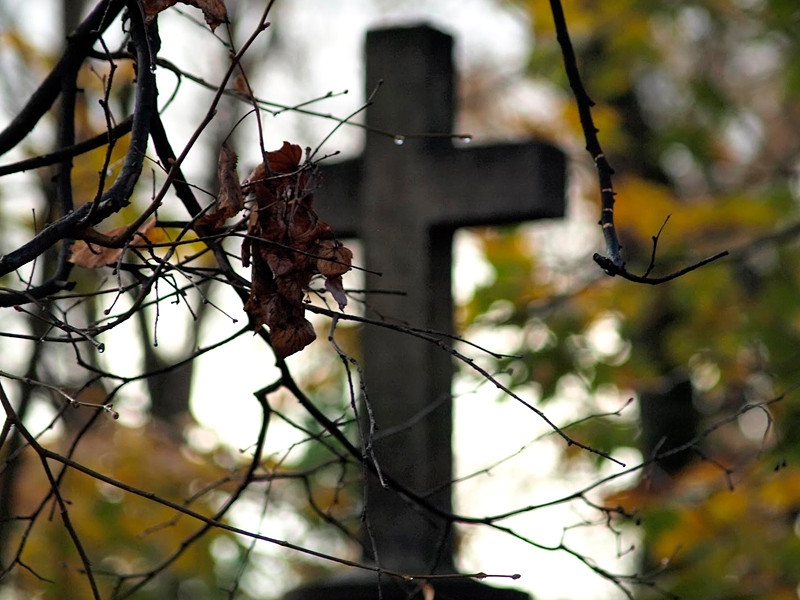 "Медиазона": избыточная смертность за время пандемии достигла 120 тысяч человек