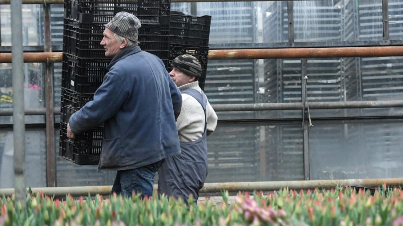 Названы самые популярные в РФ мужские профессии