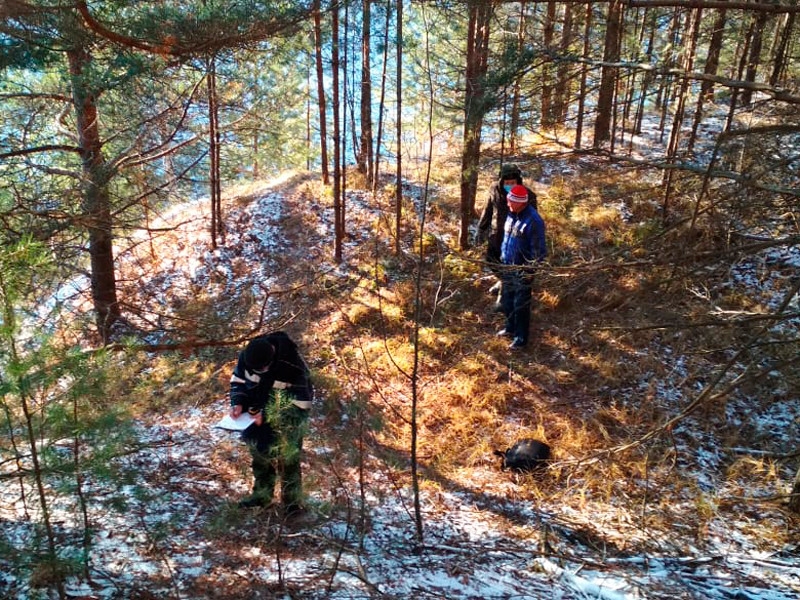 В Марий Эл полицейский случайно застрелил бизнесмена во время охоты