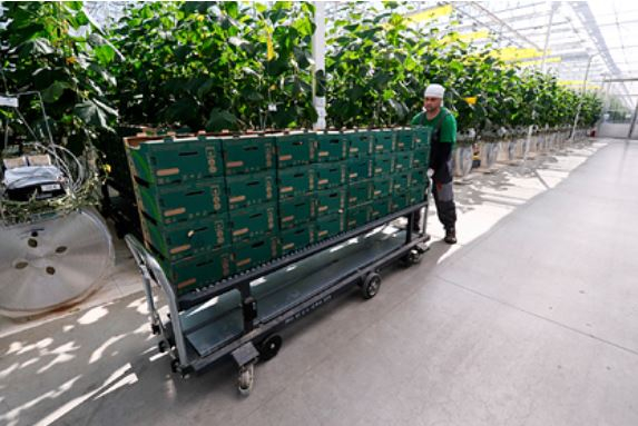 Россия приготовилась завоевать зарубежный рынок продуктов