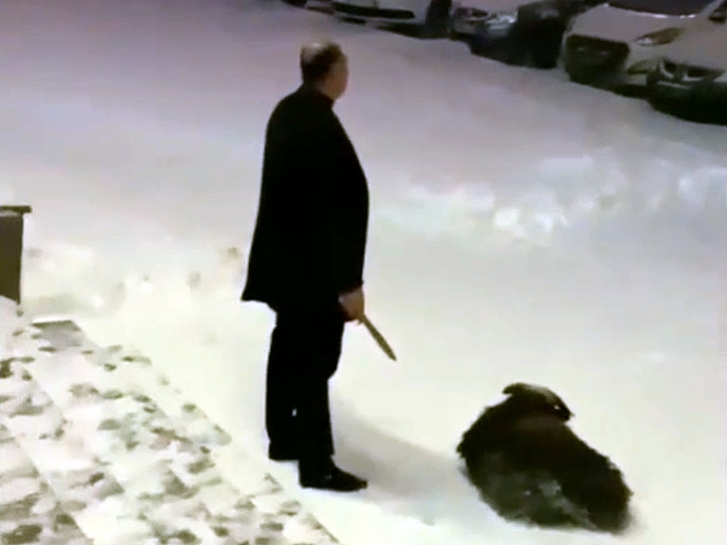 В Челябинске полиция составила протокол из-за "религиозного свадебного обряда заклания барана"