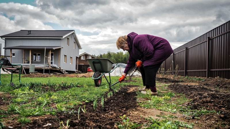 Дачников предупредили о новом штрафе