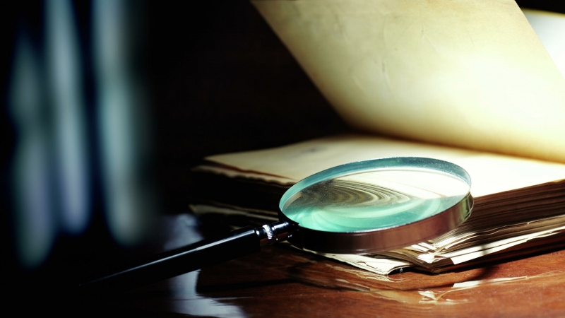 "Это невероятно!". Дневник домохозяйки из 1957 года напугал читателей