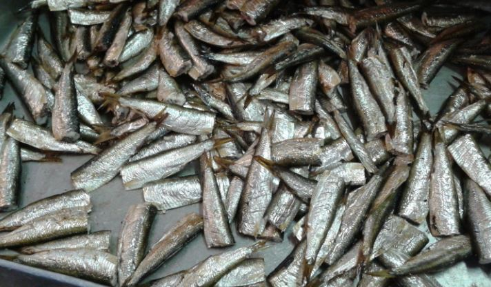 «Шпротный маневр» России может обвалить рыбную промышленность Прибалтики