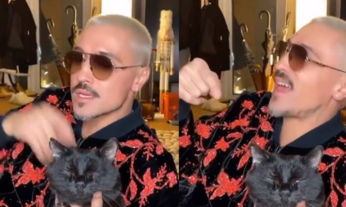 У кота Димы Билана обнаружили ВИЧ