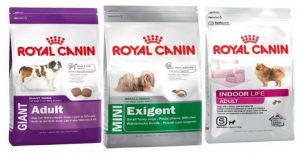 Почему владельцы собак выбирают корм royal canin