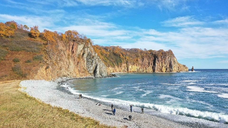 На Камчатке создадут службу спасения морских млекопитающих