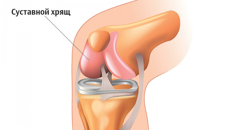 Найдена причина хруста суставов
