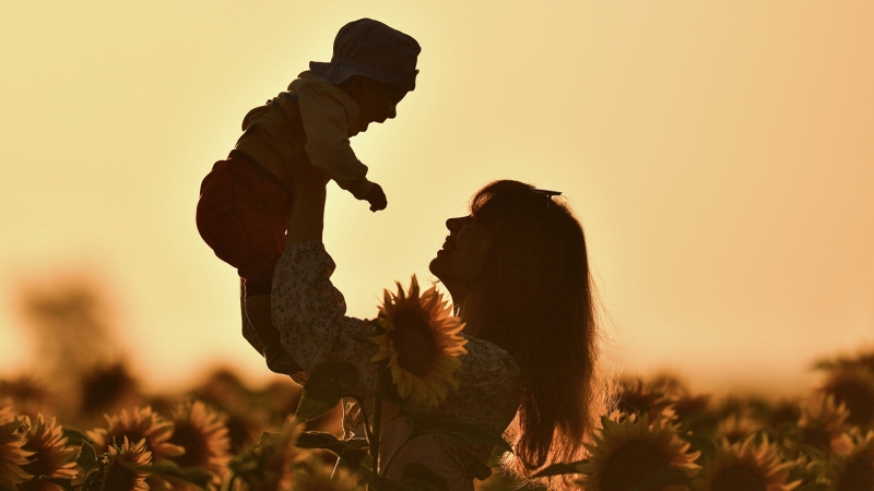 Россиянам объяснили изменения в правилах использования маткапитала