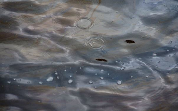 РФ может столкнуться со сложностями из-за истощения запасов нефти