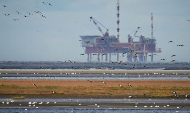 Запасы крупнейших нефтяных компаний мира могут иссякнуть через 15 лет