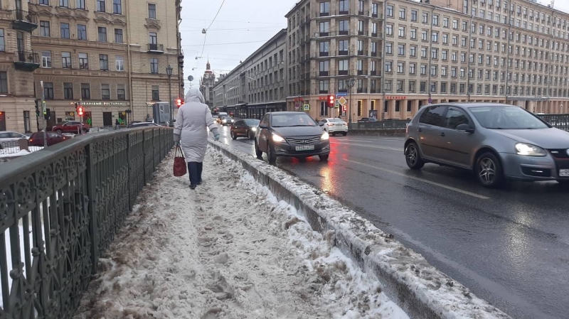 Дачу Беглова очистят от снега за счет бюджетных средств