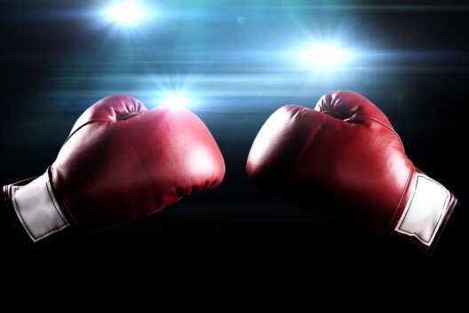 
            Год украинского бокса: два чемпиона и один — на подходе        