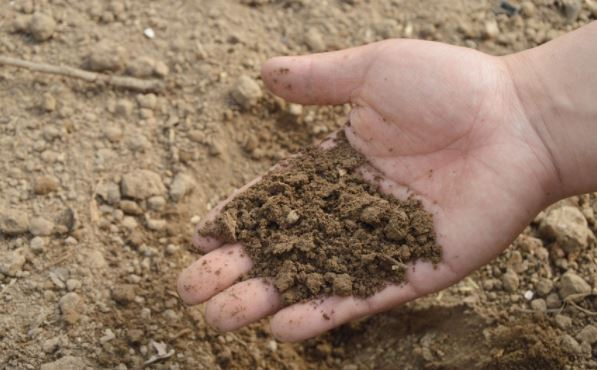 Некоторые категории российских товаров вышли из-под санкций США