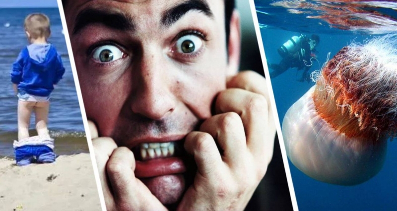 Туристам сообщили, стоит ли мочиться на ожог медузы