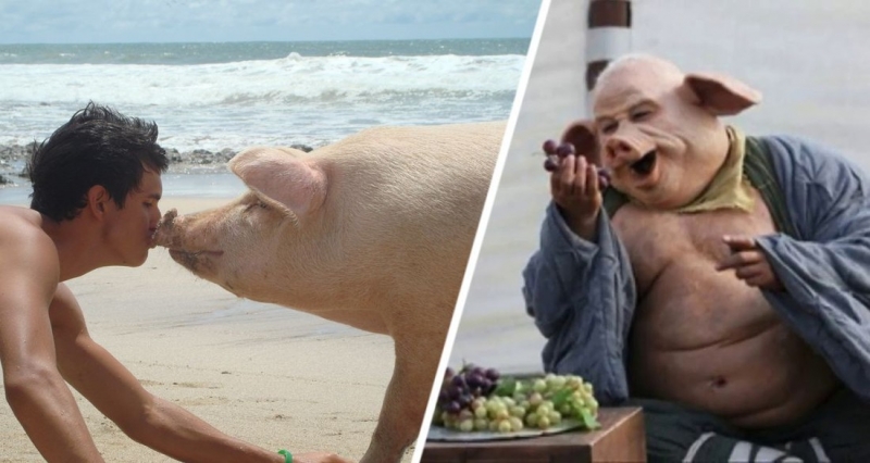 Кого не любят в Египте: составлен рейтинг национальностей, вызывающих раздражение