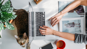 Работа в интернете: популярные варианты в 2023