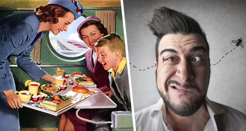 Из-за пассажиров-идиотов обычный прибор на камбузе самолета начали демонтировать