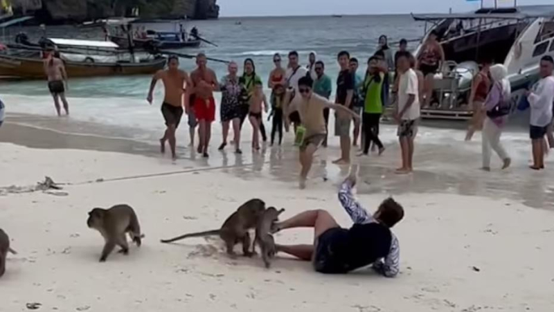 Туристов предупредили о диком нашествии на пляжи Паттайи