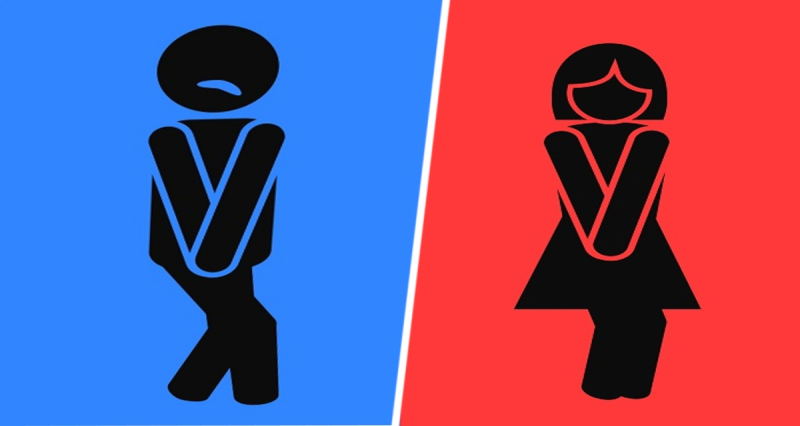 Названы страны с лучшими в мире общественными туалетами