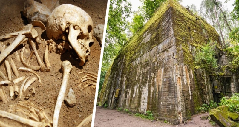 Оккультные практики в бункере фюрера: в Волчьем логове нашли скелеты без стоп и кистей рук