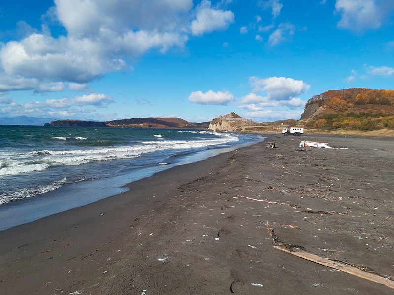 Единого мнения относительно причин гибели животных на Камчатке нет: биологи говорят о естественных причинах, химики - о техногенной катастрофе