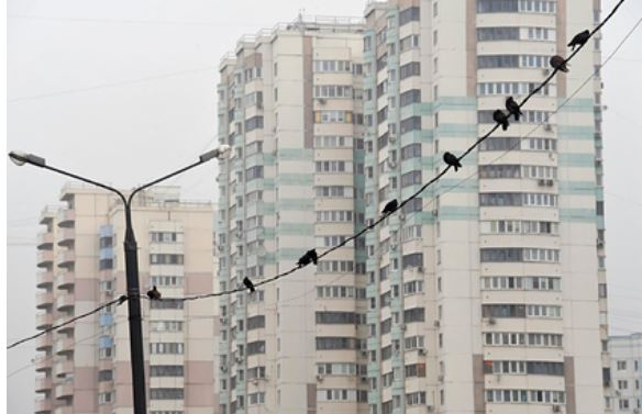 России предрекли падение цен на жилье