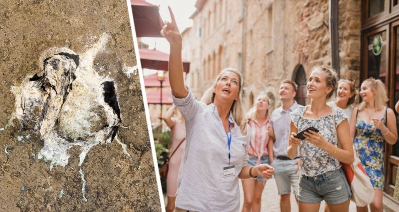 Туристов предупредили о мошенничестве с птичьим пометом