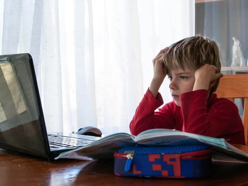 В Москве после каникул ученики 6-11 классов перейдут на дистанционное обучение